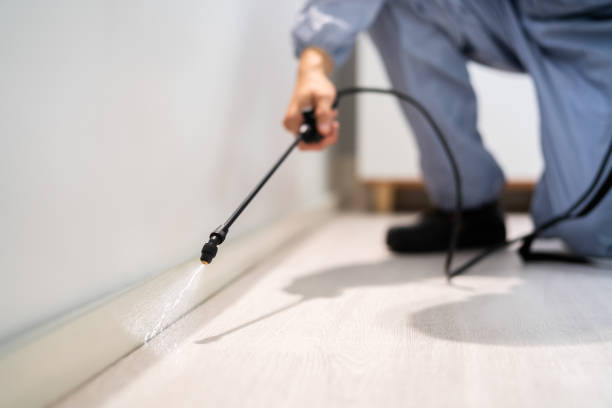 Licensed Termite Control service in Gilberts, IL - Nex Pest Control