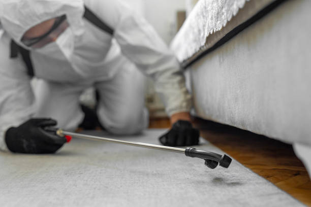 Professional Termite Control technician working in Gilberts, IL
