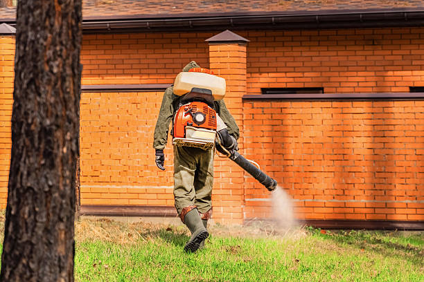 Top rated local Termite Control specialists in Gilberts, IL